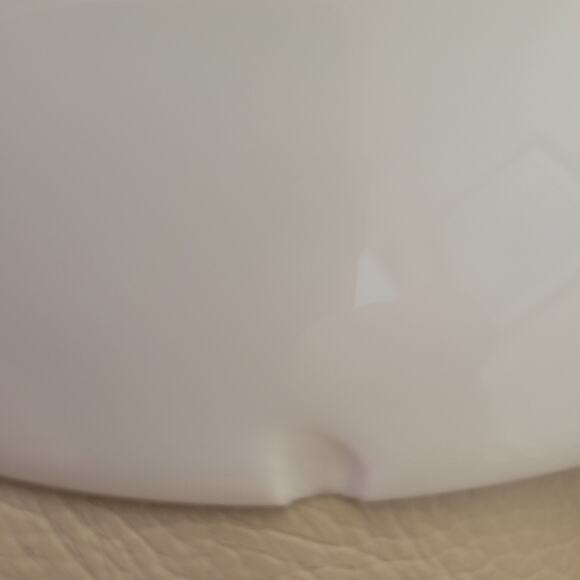 Thomas Sevrus Bavaria Plate Leuchtenberg, Germany Rasberries and Roses Antique - Picture 9 of 10